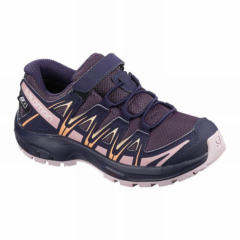 Zapatillas Trail Running Salomon Niños Moradas / Azules - Salomon Argentina XA PRO 3D CSWP K ,206578